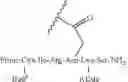 Fig. 74 - Prostate specific antigens and uses thereof