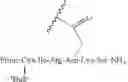 Fig. 75 - Prostate specific antigens and uses thereof