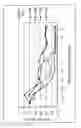 Fig. 06 - Therapeutic agent for soft tissue sarcoma