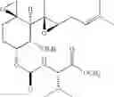 Fig. 30 - Therapeutic agents and methods of use thereof for the treatment of melanoma