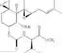 Fig. 31 - Therapeutic agents and methods of use thereof for the treatment of melanoma