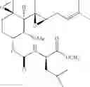 Fig. 32 - Therapeutic agents and methods of use thereof for the treatment of melanoma
