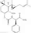 Fig. 33 - Therapeutic agents and methods of use thereof for the treatment of melanoma