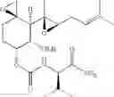 Fig. 34 - Therapeutic agents and methods of use thereof for the treatment of melanoma