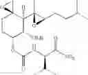 Fig. 35 - Therapeutic agents and methods of use thereof for the treatment of melanoma