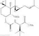 Fig. 37 - Therapeutic agents and methods of use thereof for the treatment of melanoma