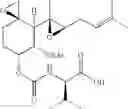 Fig. 53 - Therapeutic agents and methods of use thereof for the treatment of melanoma