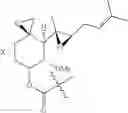 Fig. 55 - Therapeutic agents and methods of use thereof for the treatment of melanoma