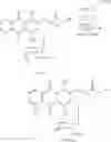 Fig. 12 - Epimerization of 4′-C bond and modification of 14-CH-(CO)-fragment in anthracyclin antibiotics