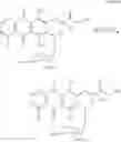 Fig. 15 - Epimerization of 4′-C bond and modification of 14-CH-(CO)-fragment in anthracyclin antibiotics