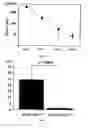 Fig. 16 - Vector for gene therapy and method of quantifying target protein in mammal or cultured cells with the administration of the vector for gene therapy