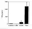 Fig. 01 - Methods of using nucleic acid vector-lipid complexes