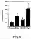 Fig. 04 - Methods of using nucleic acid vector-lipid complexes
