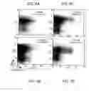 Fig. 07 - Methods of using nucleic acid vector-lipid complexes
