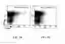 Fig. 08 - Methods of using nucleic acid vector-lipid complexes