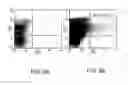 Fig. 09 - Methods of using nucleic acid vector-lipid complexes