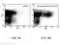 Fig. 10 - Methods of using nucleic acid vector-lipid complexes