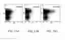 Fig. 12 - Methods of using nucleic acid vector-lipid complexes
