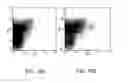 Fig. 19 - Methods of using nucleic acid vector-lipid complexes