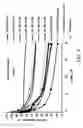 Fig. 06 - IRNA agents targeting VEGF