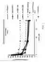 Fig. 10 - IRNA agents targeting VEGF