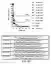 Fig. 14 - IRNA agents targeting VEGF