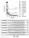 Fig. 15 - IRNA agents targeting VEGF