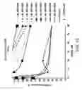 Fig. 22 - IRNA agents targeting VEGF