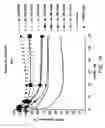Fig. 23 - IRNA agents targeting VEGF