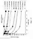 Fig. 24 - IRNA agents targeting VEGF
