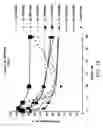 Fig. 25 - IRNA agents targeting VEGF