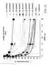 Fig. 28 - IRNA agents targeting VEGF