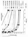 Fig. 29 - IRNA agents targeting VEGF