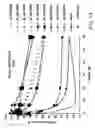 Fig. 30 - IRNA agents targeting VEGF