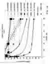 Fig. 31 - IRNA agents targeting VEGF