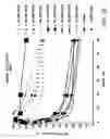 Fig. 33 - IRNA agents targeting VEGF