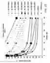 Fig. 34 - IRNA agents targeting VEGF
