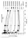 Fig. 35 - IRNA agents targeting VEGF