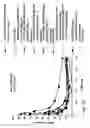 Fig. 41 - IRNA agents targeting VEGF
