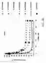 Fig. 47 - IRNA agents targeting VEGF
