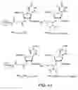 Fig. 50 - IRNA agents targeting VEGF