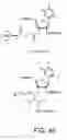 Fig. 55 - IRNA agents targeting VEGF