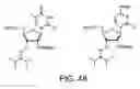 Fig. 57 - IRNA agents targeting VEGF