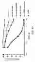 Fig. 59 - IRNA agents targeting VEGF