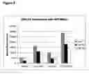 Fig. 03 - Vectors comprising guinea pig CMV regulatory elements