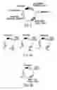 Fig. 05 - Tissue-specific and pathogen-specific toxic agents, ribozymes, dnazymes and antisense oligonucleotides, and methods of use thereof
