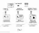 Fig. 09 - Tissue-specific and pathogen-specific toxic agents, ribozymes, dnazymes and antisense oligonucleotides, and methods of use thereof