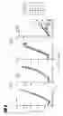 Fig. 08 - Nucleotide sequence for treating cancer and infection
