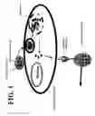 Fig. 02 - Microgel particles for the delivery of bioactive materials