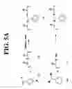 Fig. 06 - Microgel particles for the delivery of bioactive materials
